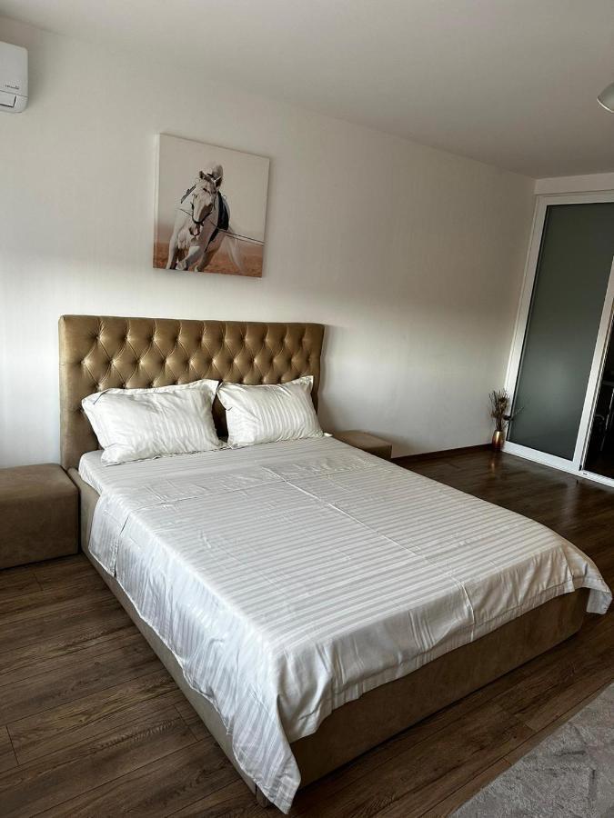 Anastasia Apartament Apartman Nagyvárad Kültér fotó